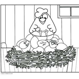 Cute and funny Mama hen on cozy eggs in Nest